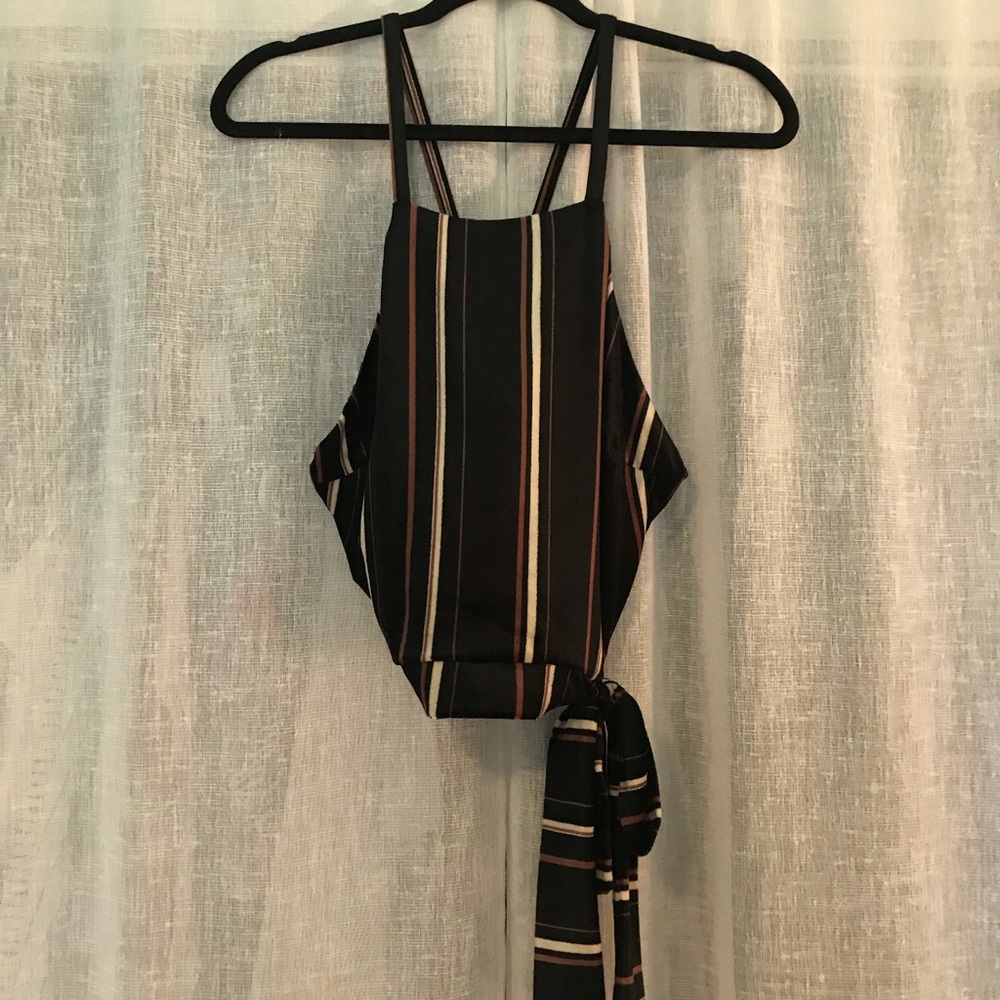 Velvet stripped cropped top
